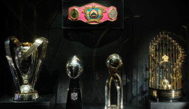 The American Museum of Natural History Reveals New World Cup-Themed Celebration in NYC