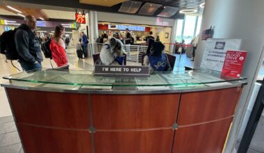 A look at Albany Airport’s therapy and comfort dogs