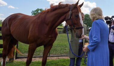 The Queen, smitten * The Racing Biz
