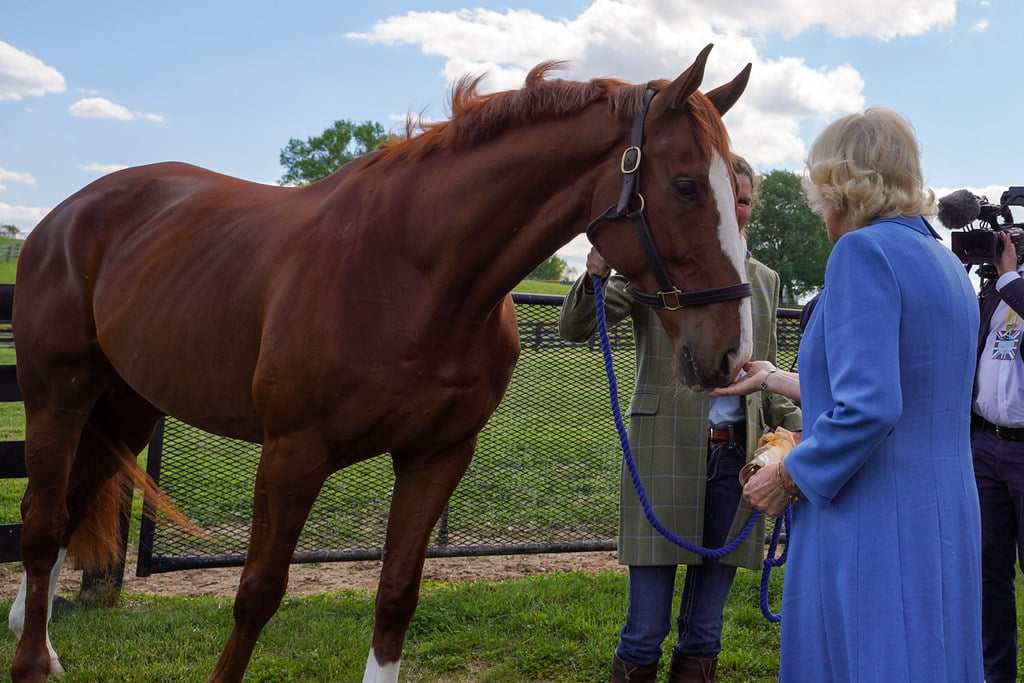 The Queen, smitten * The Racing Biz