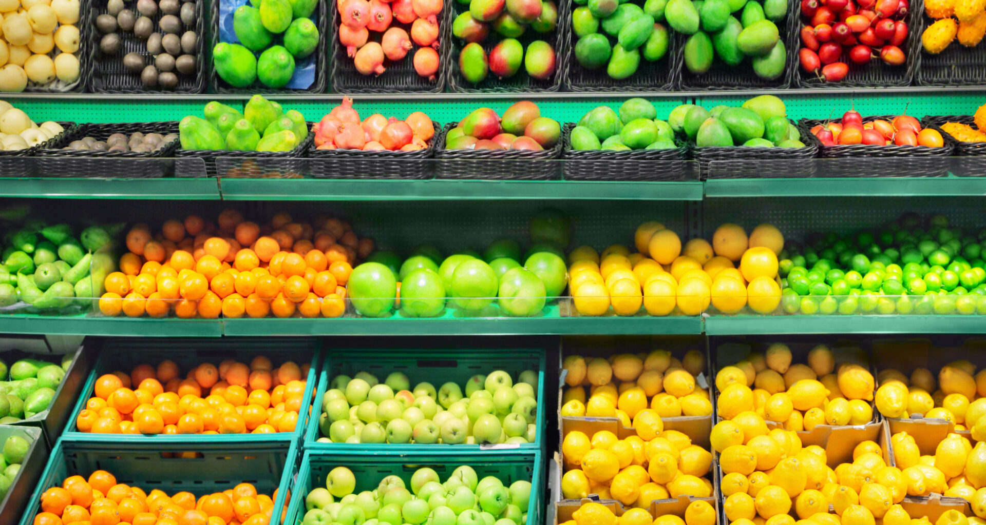 A NYC-Owned Grocery Store is Opening in Hunts Point in 2027