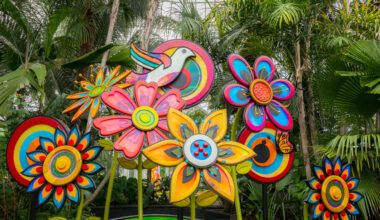 See Inside the New York Botanical Garden's Latest Flower-Powered Psychedelic Exhibit