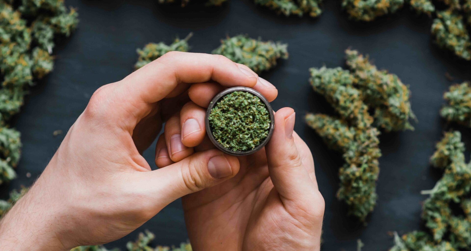 MARY Fest Returns to NYC This Summer: Details About the Cannabis Extravaganza