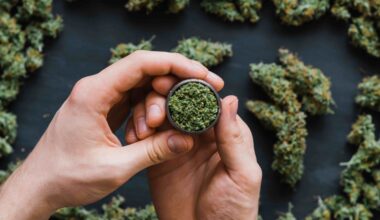 MARY Fest Returns to NYC This Summer: Details About the Cannabis Extravaganza