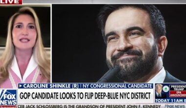 Caroline Shinkle eyes flipping deep-blue NYC district