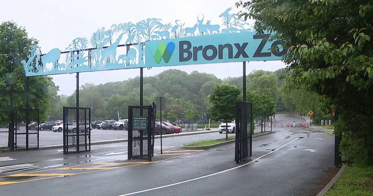Crocodile bites zookeeper at Bronx Zoo