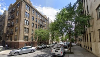 Tree falls on woman in NYC during Memorial Day storm: cops