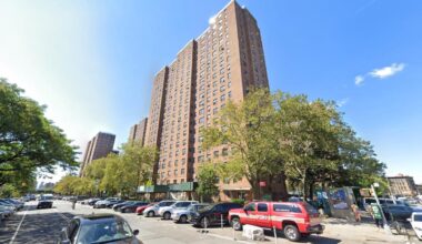 NYC sicko accused of throwing family cat 'Shadow' out 15th-story window to its death: DA