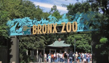 Beloved Elephant Happy Euthanised at Bronx Zoo After Serving as Conservation Icon