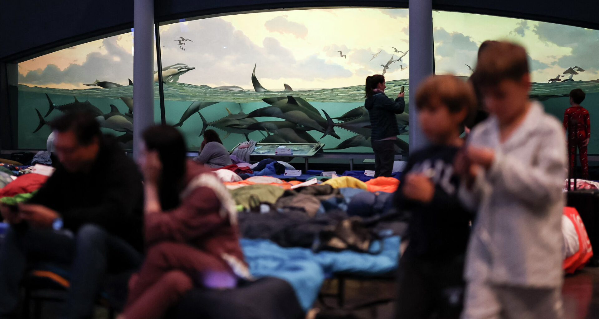 How to stay over at New York City's American Museum of Natural History