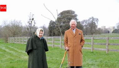 How the Queen’s Green Canopy turned Jubilee tree planting into a living royal tribute | World News