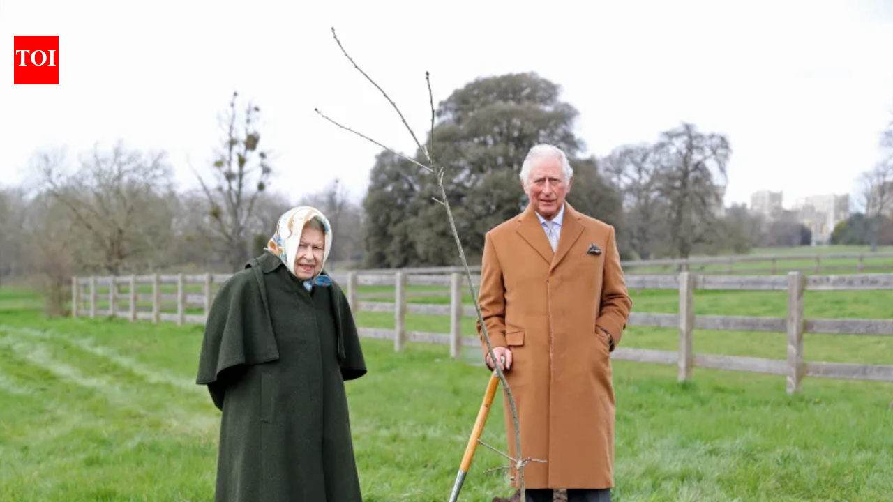 How the Queen’s Green Canopy turned Jubilee tree planting into a living royal tribute | World News