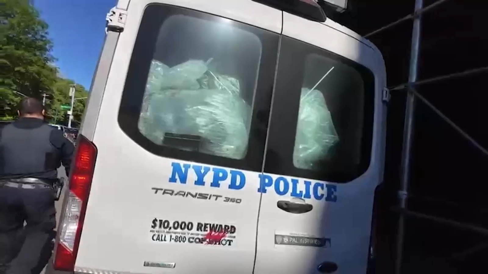 Bronx illegal grow house found in Pelham Parkway; 2 apartments evacuated due to fumes