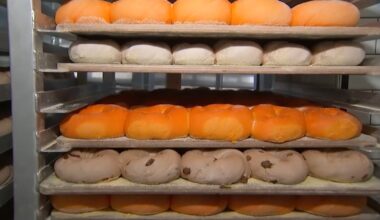 Potassium bromate ban: NY lawmakers looking to remove additive in flour that could impact pizza, bagels