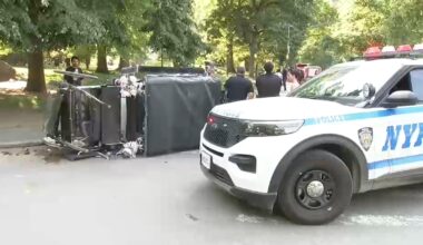 Horse briefly freed after carriage overturns in Central Park
