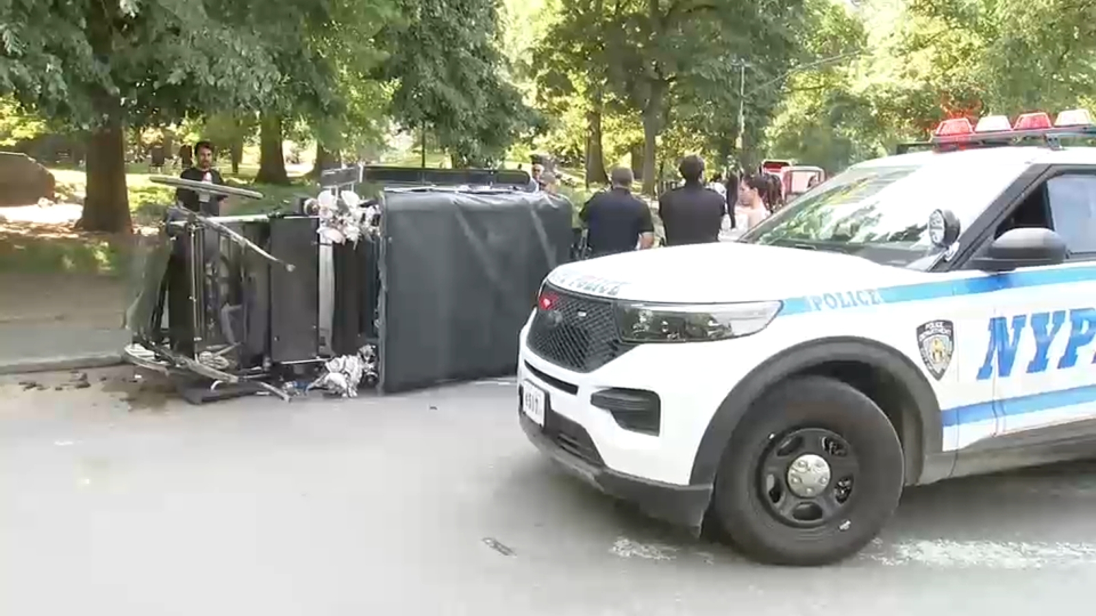 Horse briefly freed after carriage overturns in Central Park