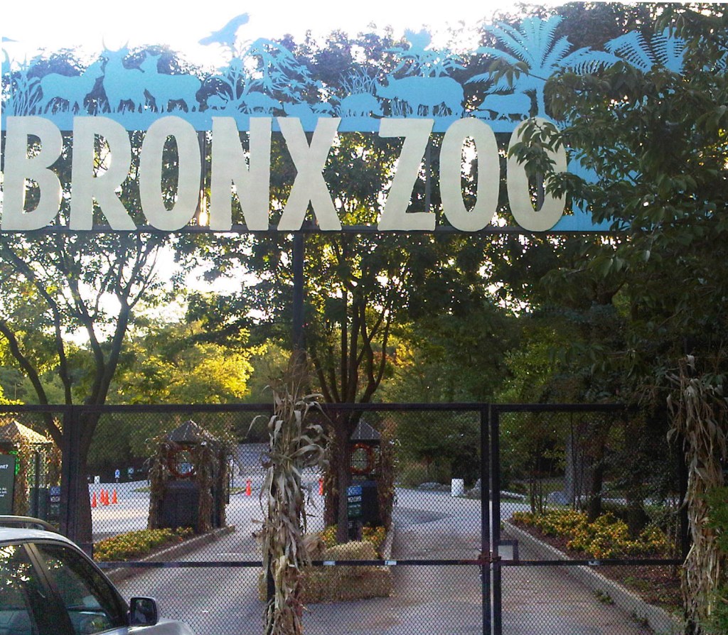 The Bronx Zoo sign above chained gates and empty ticket booths.
