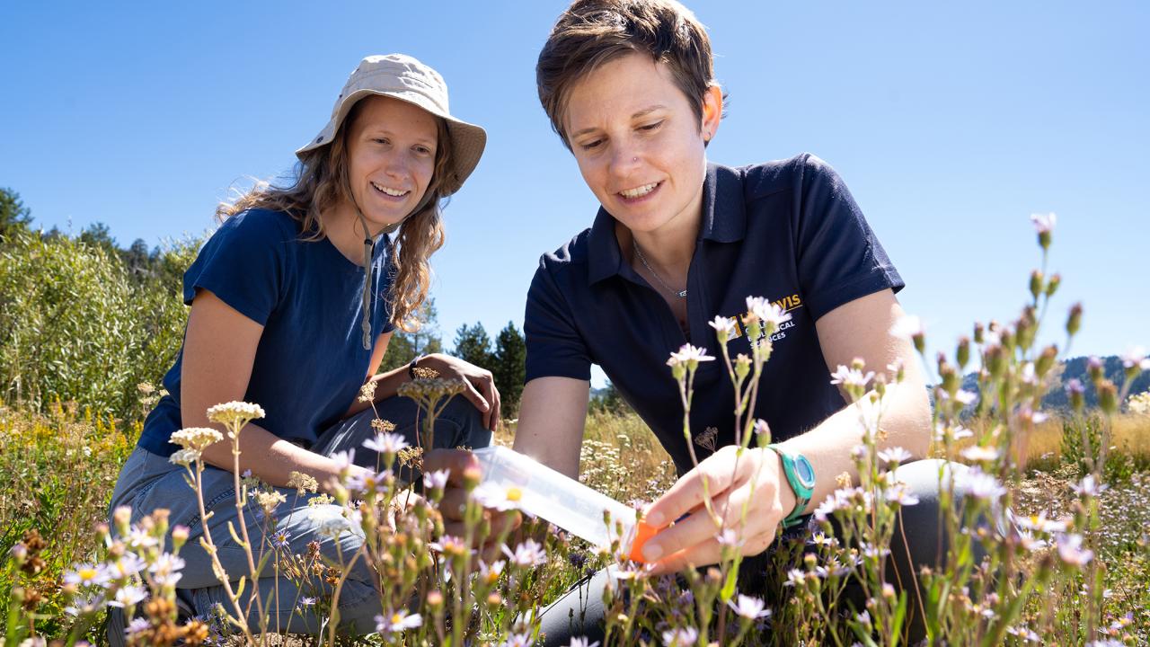 Two women in dark blue shirts kneeling in a meadow. One is holding a plastic tube while the other looks on.