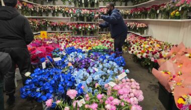 Where to shop for fresh flowers in the borough this spring – Bronx Times