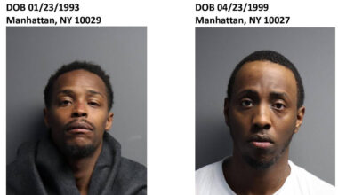 New York City men jailed on drug charges following raid of Massena apartment