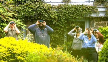 Wave Hill&rsquo;s ongoing effort to draw a wider audience includes programming like guided birding tours. A limited number of binoculars, monoculars and walking sticks are available at no cost to visiting birders.