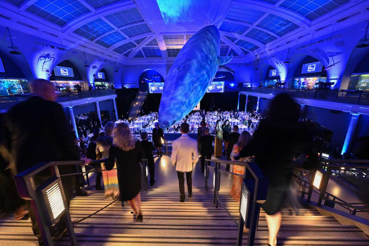 NEW YORK, NEW YORK - MAY 14: A view of the venue during the 2026 PEN America Spring Literary Gala at American Museum of Natural History on May 14, 2026 in New York City. 