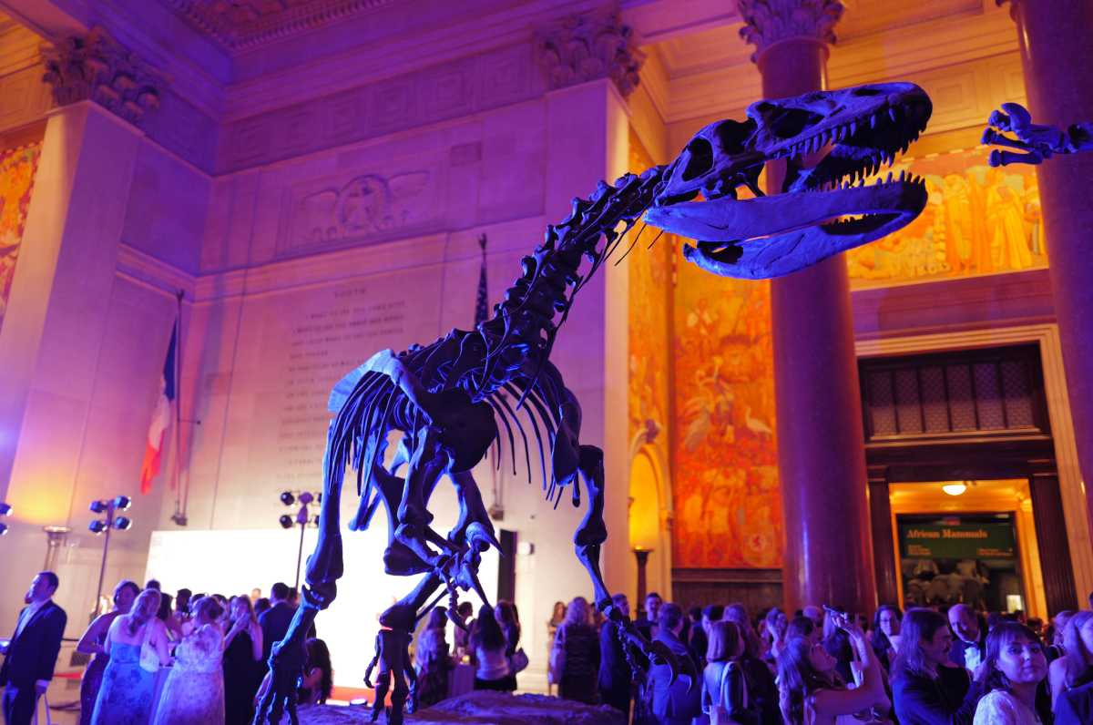 NEW YORK, NEW YORK - MAY 14: A view of the venue during the 2026 PEN America Spring Literary Gala at American Museum of Natural History on May 14, 2026 in New York City. 