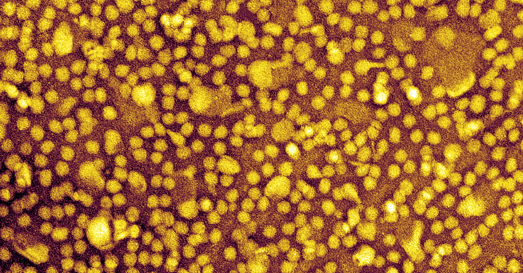One-and-Done Heart Disease Prevention? Scientists Show It May Be Possible.