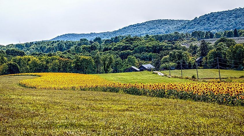 Roadside farm in rural Hackettstown, New Jersey