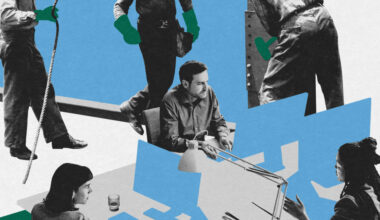 The Politics of the Downwardly Mobile Professional Class