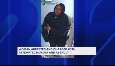 News 12 | Bronx | Bronx Woman Accused Of Stabbing 2 Men Slashing Another Steps From 2 Norwood Hospitals