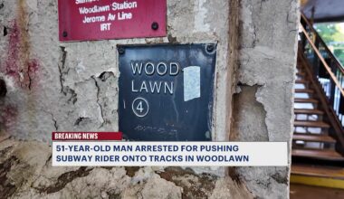News 12 | Bronx | Man Arrested After Bronx Subway Shove Sends Rider Onto Tracks At Woodlawn Station