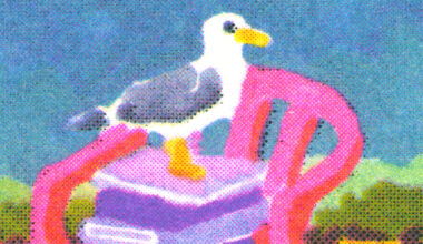 What to Read This Summer: NYT Reading Bucket List