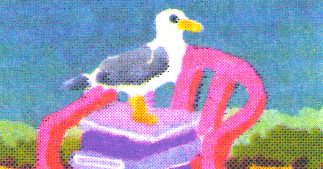 What to Read This Summer: NYT Reading Bucket List