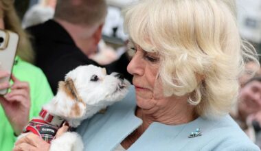 Queen Camilla narrowly swerves enthusiastic lick from excitable puppy – watch