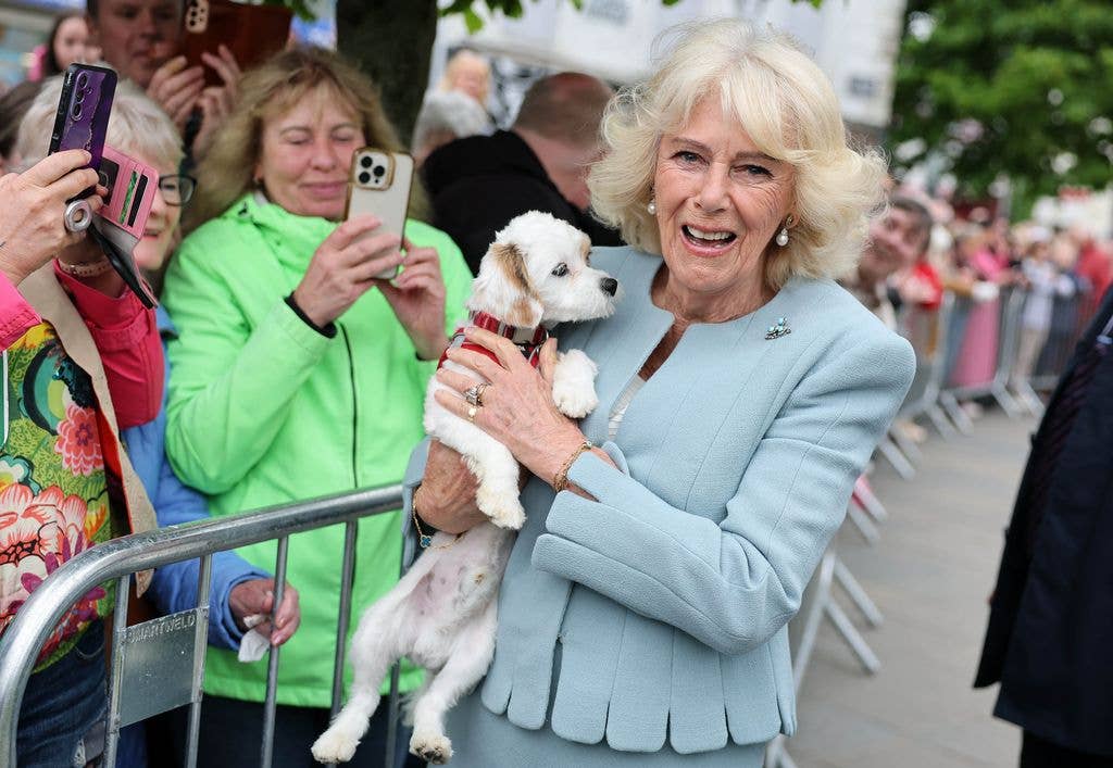 Queen Camilla couldn't resist picking up the adorable pup