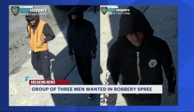 News 12 | Bronx | Three Men Wanted In Connection To Robbery Spree In The Bronx Brooklyn