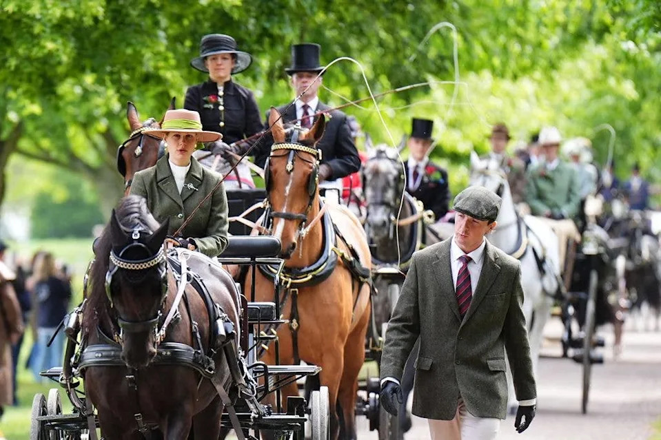 Lady Louise driving a carriage in line of carriages