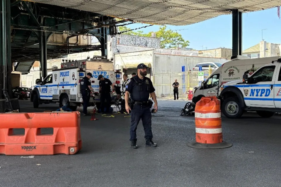 The NYPD found no damage to the Gravesend sewer system in Brooklyn after seven people were caught on video climbing from a manhole (NYPD 62nd Precinct)