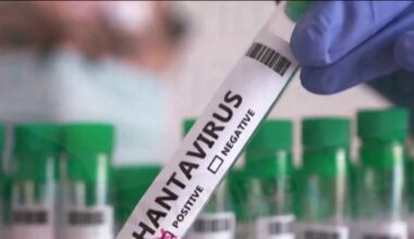 Three people from New York were aboard hantavirus-stricken cruise ship, governor says – NBC New York