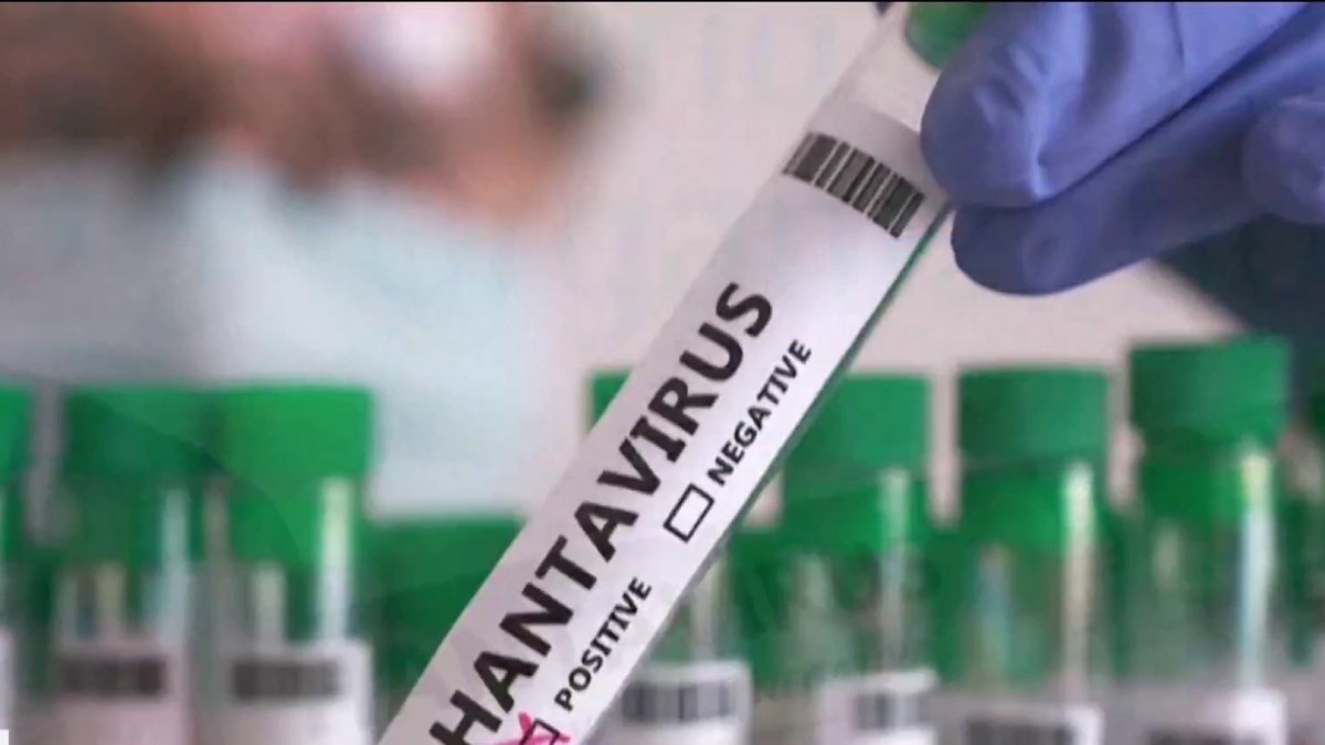 Three people from New York were aboard hantavirus-stricken cruise ship, governor says – NBC New York