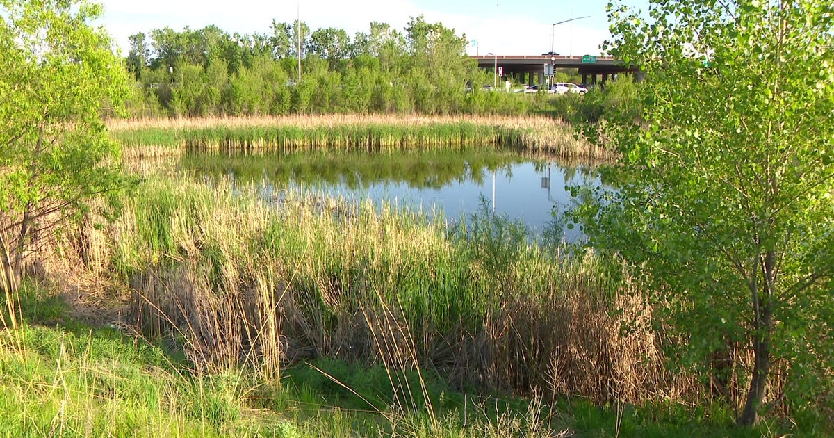 Man arrested in connection to body found in Brooklyn Park drainage pond Tuesday, police investigating