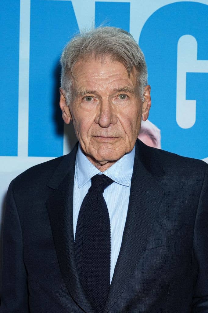 Harrison plays Dr Paul Rhoades in the hit series