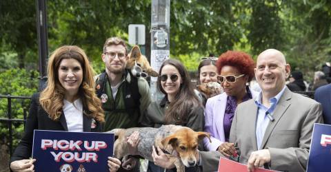 SCOOP Act Takes on Formidable, Foul Foe: NYC Dog Poop