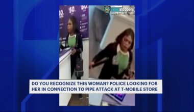 News 12 | Bronx | Woman On The Run After Brutal Pipe Attack Inside T Mobile In Mt Eden