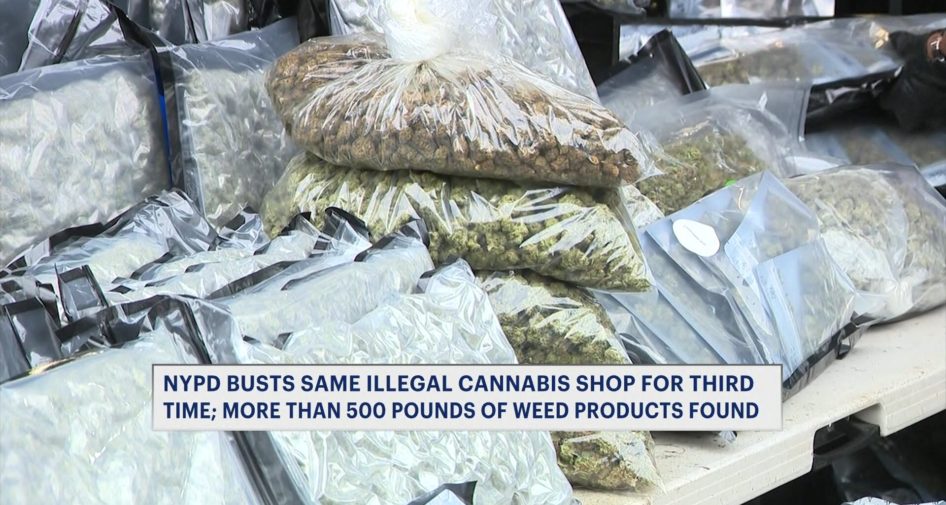 News 12 | Bronx | Illegal Mott Haven Cannabis Shop Raided For A Third Time
