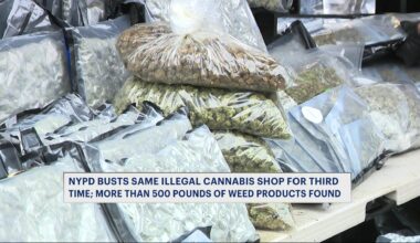 News 12 | Bronx | Illegal Mott Haven Cannabis Shop Raided For A Third Time