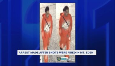 News 12 | Connecticut | Bronx Teen Charged With Attempted Murder Accused Of Shooting At Crowd In Concourse Village