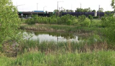 Man arrested in connection to body found in Brooklyn Park drainage pond