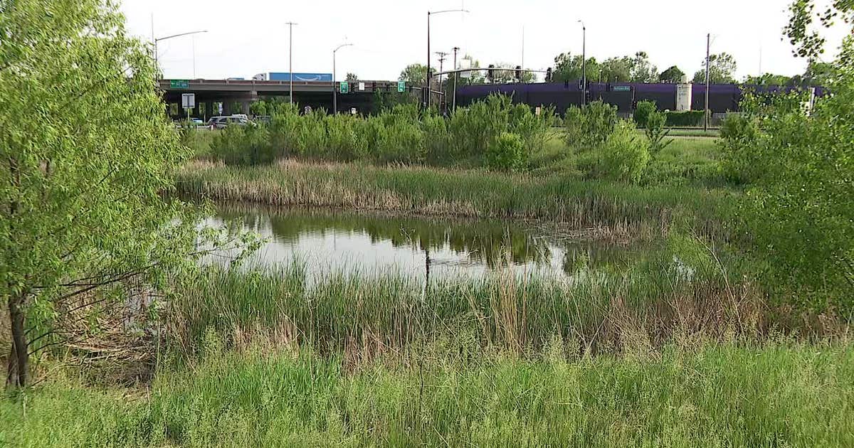 Man arrested in connection to body found in Brooklyn Park drainage pond